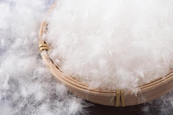 朝阳医院黄牛号贩子票贩子代网上预约代挂号电话避开“假羽绒”陷阱 这样选购不花冤枉钱