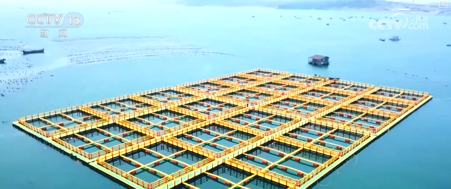 
宣武中医医院黄牛号贩子票贩子代网上预约代挂号电话“数”览前三季度海洋领域“成绩单”亮点 感知对外贸易韧性与创新活力