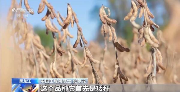 
阜外医院黄牛号贩子票贩子代网上预约代挂号电话全国秋粮收获过九成 各地多举措筑牢丰收基础