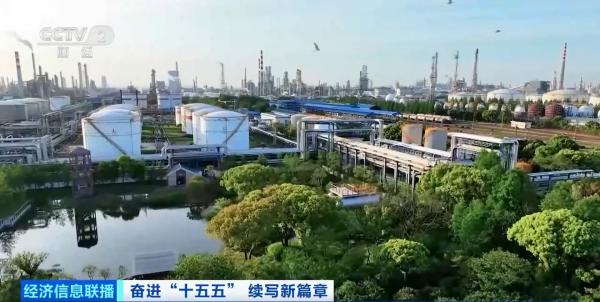 上海医院黄牛号贩子票贩子代网上预约代挂号电话“十五五”时期,生态环境领域的重点着力方向是什么?专家解读