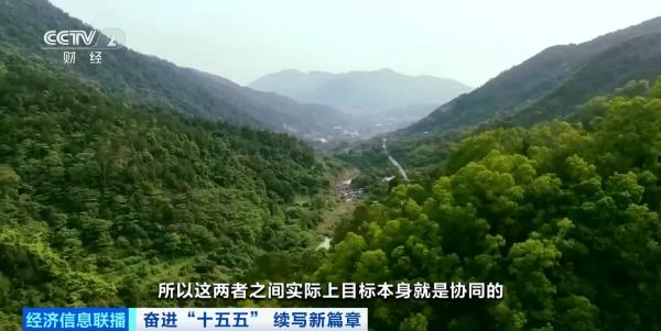 上海医院黄牛号贩子票贩子代网上预约代挂号电话“十五五”时期,生态环境领域的重点着力方向是什么?专家解读