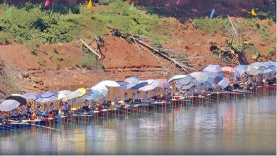 “钓韵大竹·渔乐山水 ”2025年“科润杯”福建省大竹库钓系列赛首赛圆满收官769