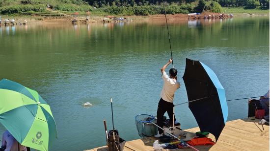 “钓韵大竹·渔乐山水 ”2025年“科润杯”福建省大竹库钓系列赛首赛圆满收官767