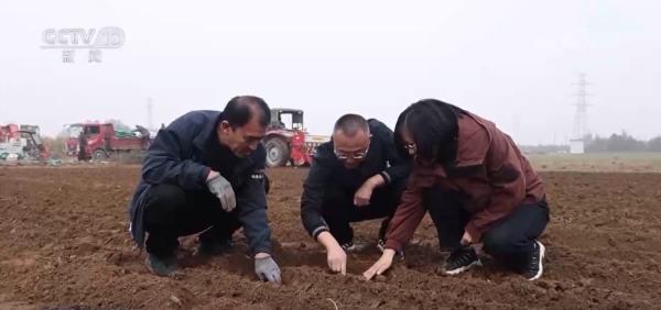 
医学科学院皮肤病医院黄牛号贩子票贩子代网上预约代挂号电话“农机+农技”助力秋收秋种 特色种养殖变身增收致富“金钥匙”