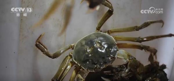 
医学科学院皮肤病医院黄牛号贩子票贩子代网上预约代挂号电话“农机+农技”助力秋收秋种 特色种养殖变身增收致富“金钥匙”