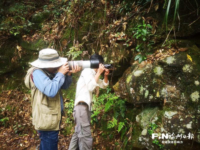 一群自然爱好者的生态守护之路:山野寻踪,解码生物多样性
