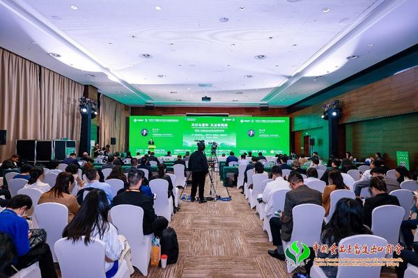 302医院黄牛号贩子票贩子代网上预约代挂号电话汇聚全球智慧 共促产业升级——蒙牛进博会提出“四大举措”引领中国乳业新跨越