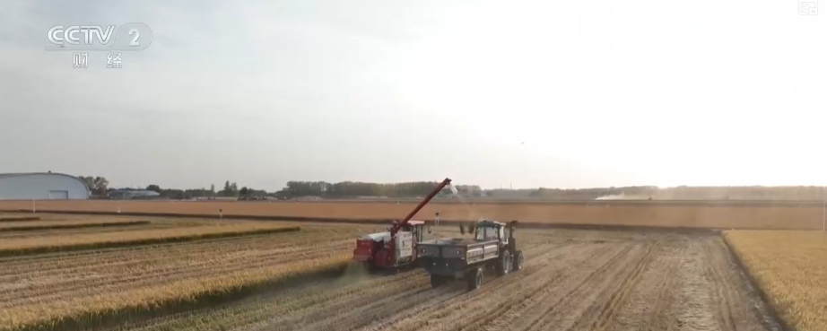 
江苏省东部战区总医院唐政陈慧平陈文萃文吉秋刘欣峰宋勇任建安黄牛挂号电话中国饭碗如何端得更牢？以怎样面貌迈向农业农村现代化？