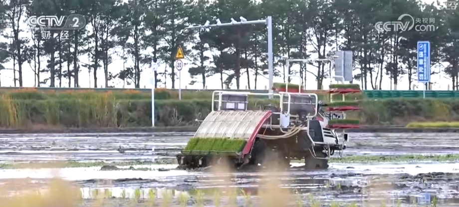 
江苏省东部战区总医院唐政陈慧平陈文萃文吉秋刘欣峰宋勇任建安黄牛挂号电话中国饭碗如何端得更牢？以怎样面貌迈向农业农村现代化？