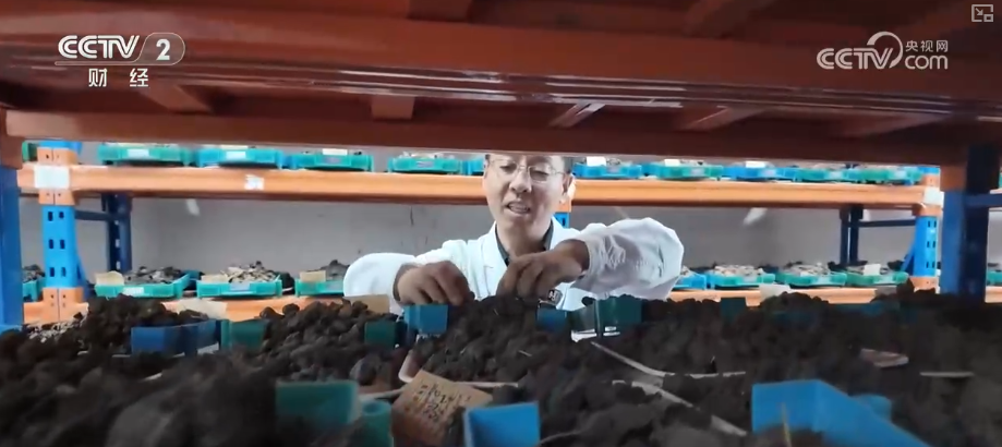 
江苏省东部战区总医院唐政陈慧平陈文萃文吉秋刘欣峰宋勇任建安黄牛挂号电话中国饭碗如何端得更牢？以怎样面貌迈向农业农村现代化？