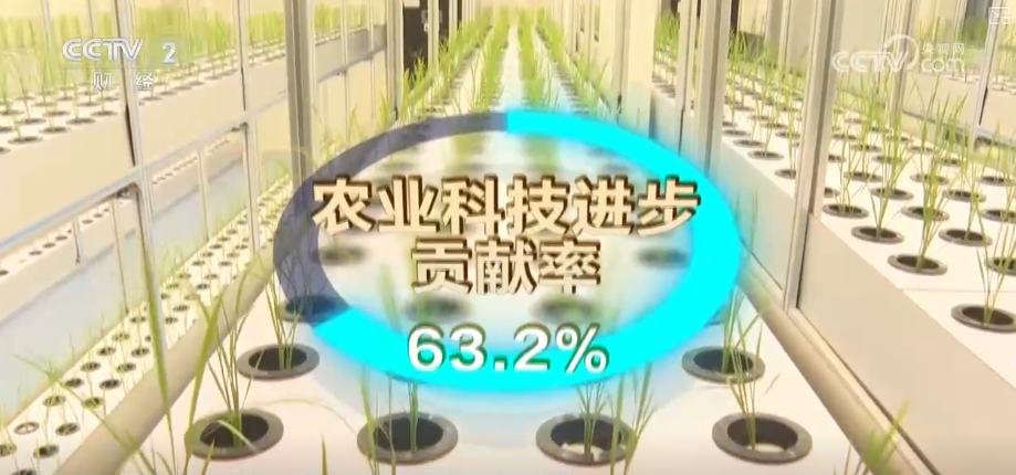 
江苏省东部战区总医院唐政陈慧平陈文萃文吉秋刘欣峰宋勇任建安黄牛挂号电话中国饭碗如何端得更牢？以怎样面貌迈向农业农村现代化？