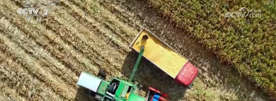 
江苏省东部战区总医院唐政陈慧平陈文萃文吉秋刘欣峰宋勇任建安黄牛挂号电话中国饭碗如何端得更牢？以怎样面貌迈向农业农村现代化？