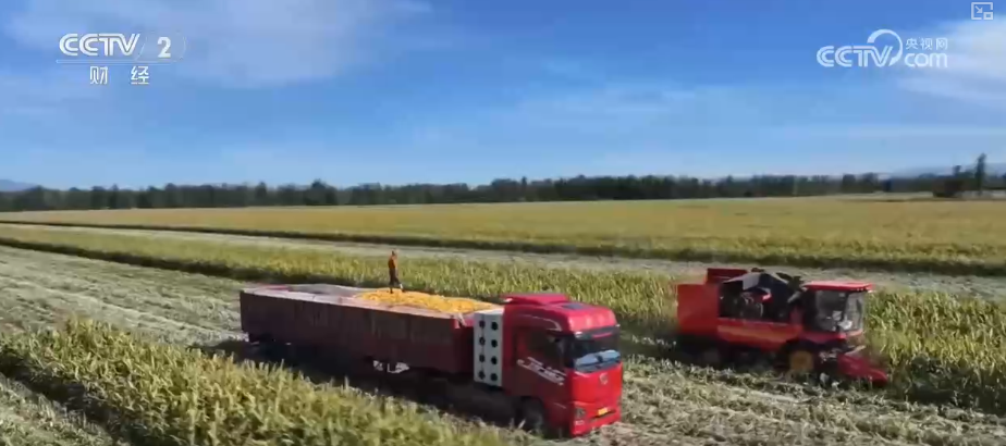 
江苏省东部战区总医院唐政陈慧平陈文萃文吉秋刘欣峰宋勇任建安黄牛挂号电话中国饭碗如何端得更牢？以怎样面貌迈向农业农村现代化？