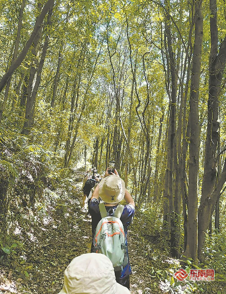 你我与考古,那么远这么近