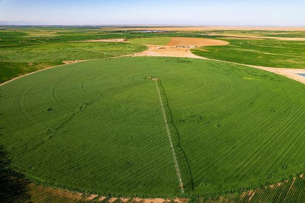 
上海儿童医学中心黄牛号贩子票贩子代网上预约代挂号电话国际奥委会主席考文垂到访蒙牛集团 点赞乌兰布和沙漠治理实践