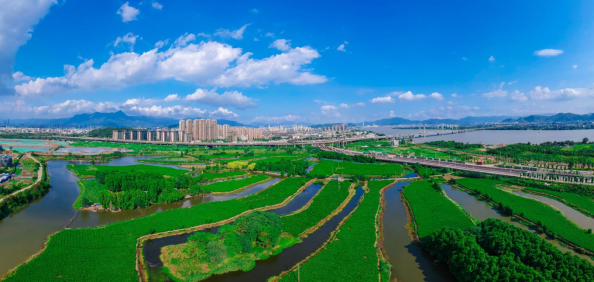 茉莉岩韵・茶连两岸 福州茉莉花茶即将亮相第十七届海峡两岸茶业博览会229