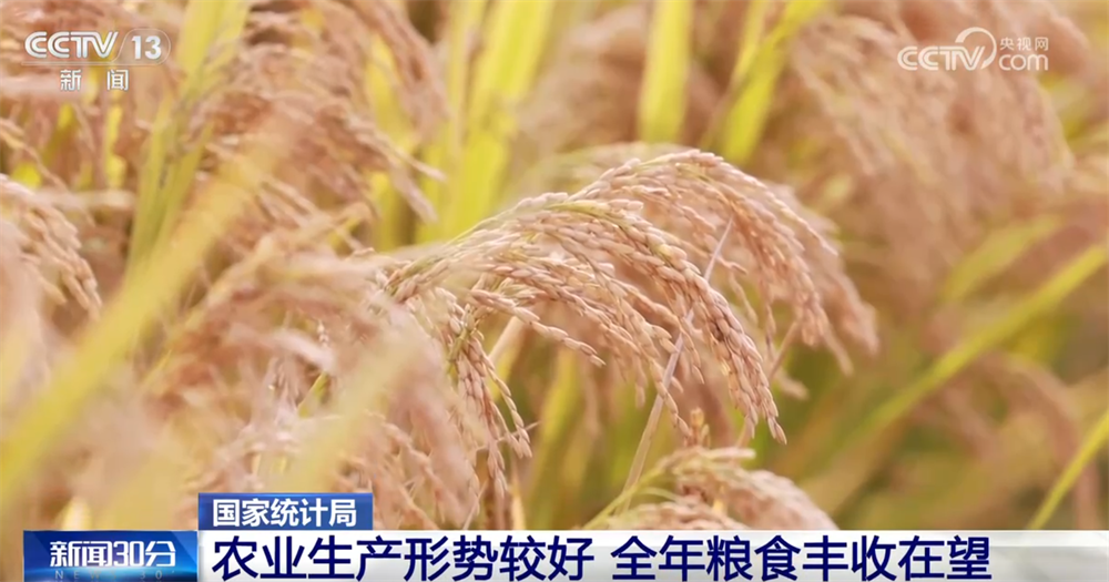 杭州各大医院黄牛挂号电话从10月份主要经济指标透视国民经济运行“稳”+“进”