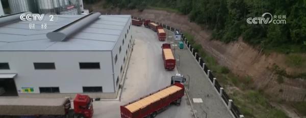 上海东方医院黄牛号贩子票贩子代网上预约代挂号电话1亿吨秋粮,意味着什么?