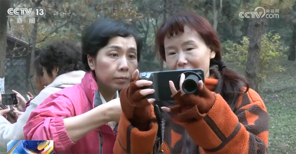 南方医科大学南方医院黄牛号贩子票贩子代网上预约代挂号电话“科技范儿”“悦己型”……银发消费花式“上新”潜能迸发 服务供给加速升级