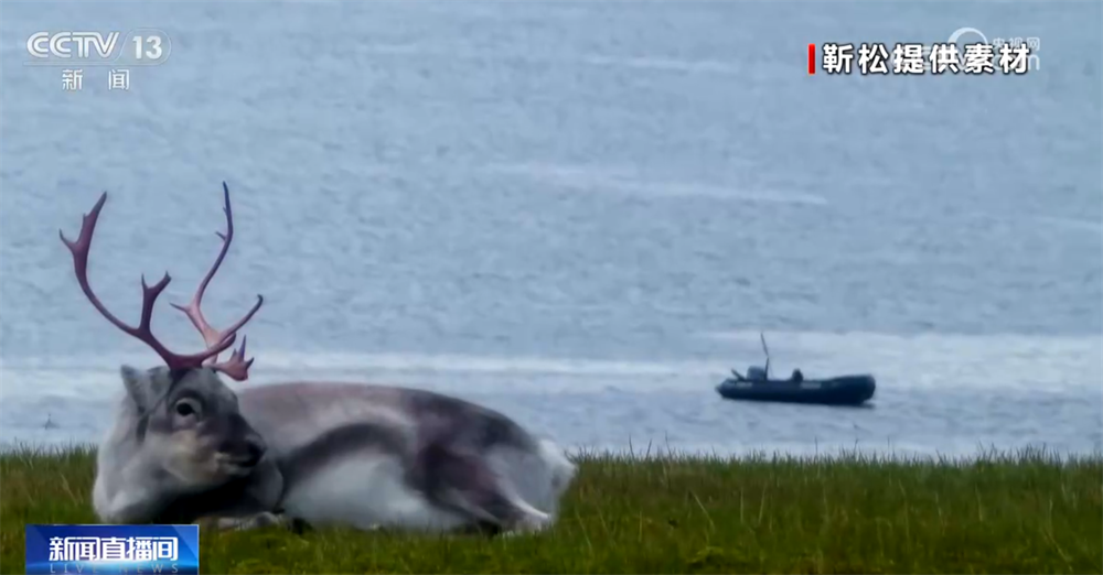 南方医科大学南方医院黄牛号贩子票贩子代网上预约代挂号电话“科技范儿”“悦己型”……银发消费花式“上新”潜能迸发 服务供给加速升级