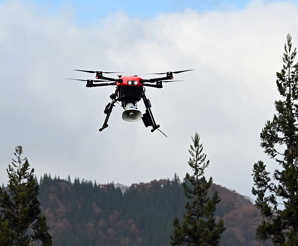 今年4月至10月 日本遭熊袭击人数创近年同期新高