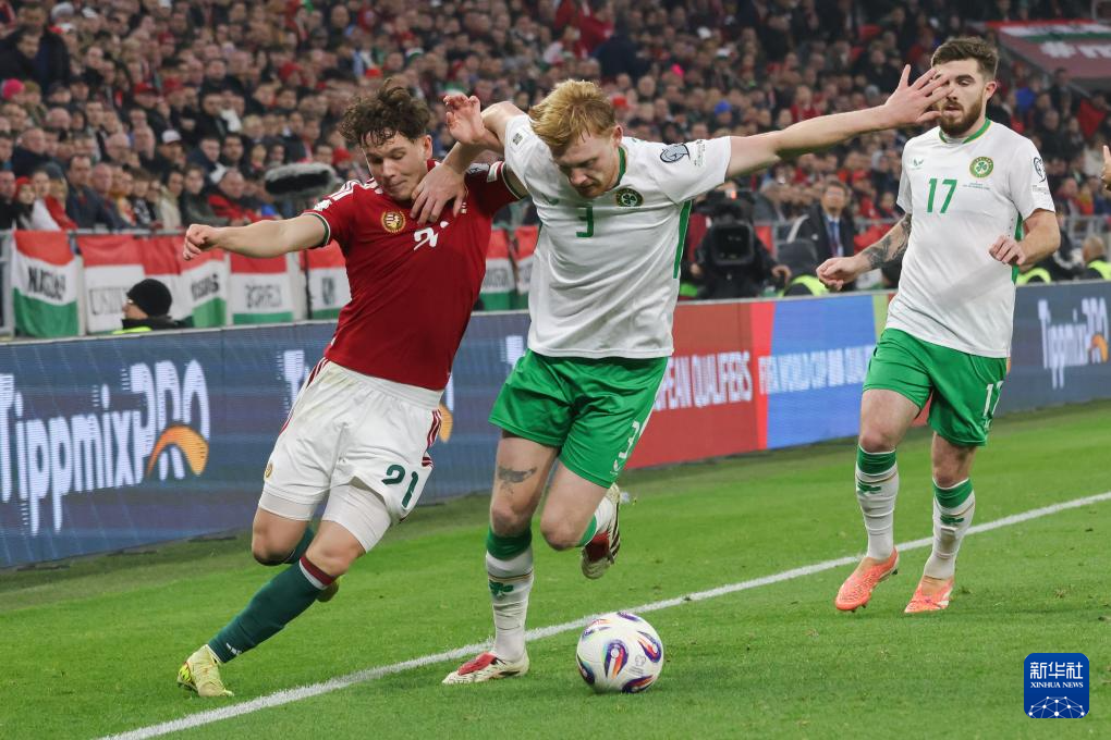 足球——世界杯预选赛:爱尔兰胜匈牙利