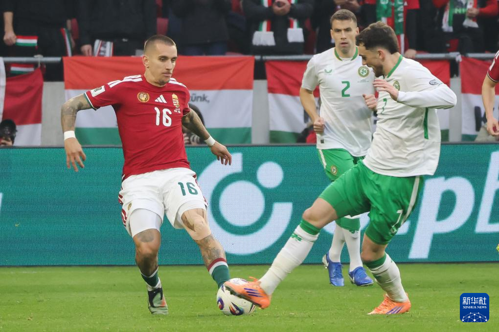 足球——世界杯预选赛:爱尔兰胜匈牙利