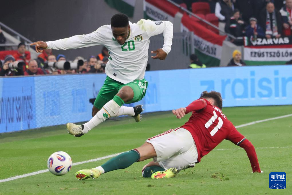 足球——世界杯预选赛:爱尔兰胜匈牙利