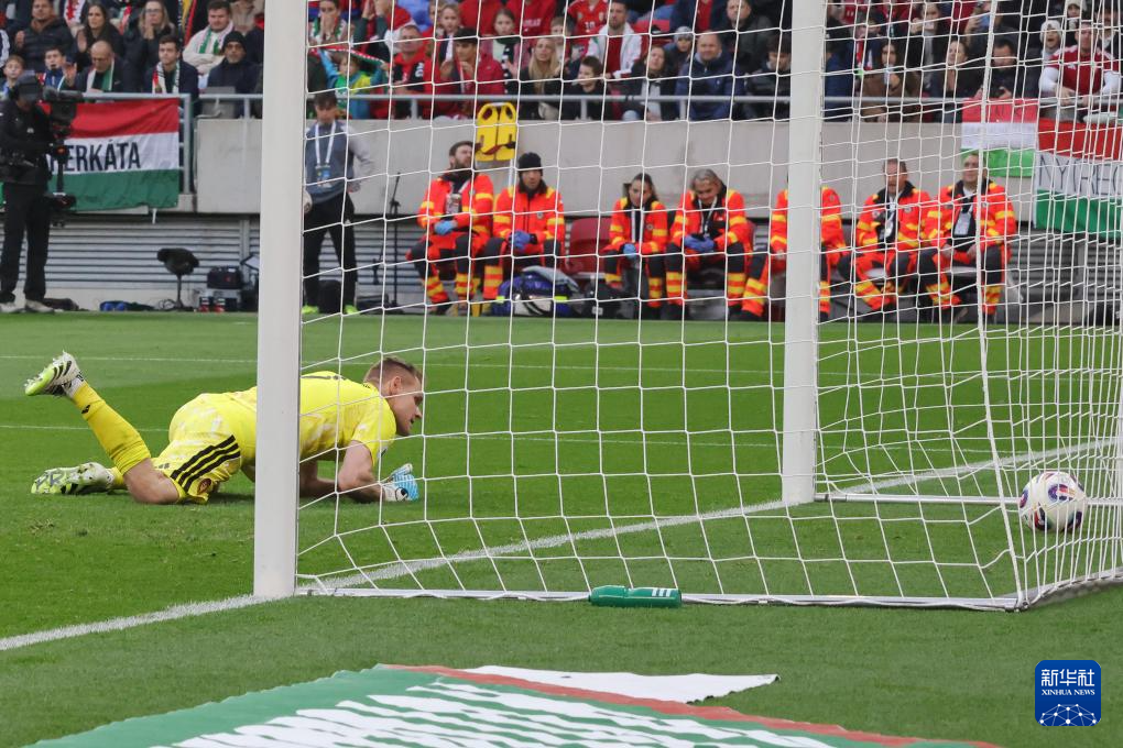 足球——世界杯预选赛:爱尔兰胜匈牙利