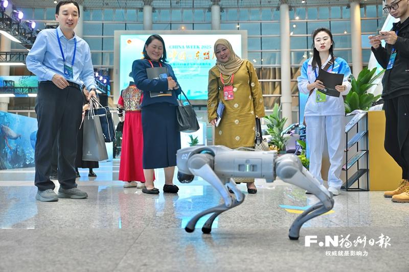 “2025中国—东盟周”落幕 携手谱写区域合作新篇章 “2025中国—东盟周”落幕 携手谱写区域合作新篇章