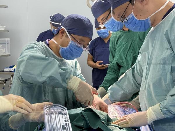 
医学科学院整形外科医院黄牛号贩子票贩子代网上预约代挂号电话全国首例标准化脑机接口可感知闭环脑起搏器手术在京成功实施