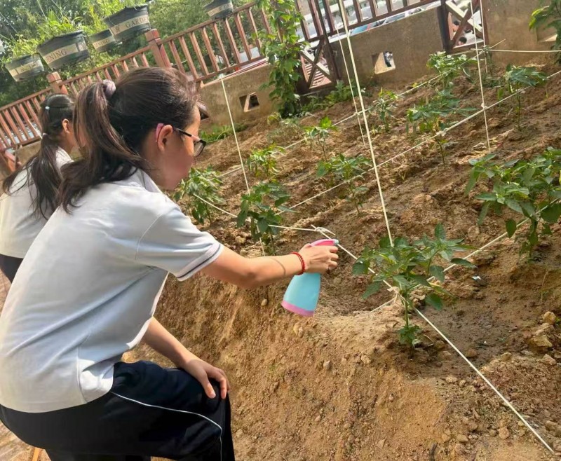 石狮市永宁中心小学:“双轨科学加法”点亮孩子课后时光