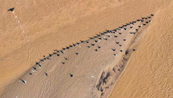 
天津市眼科医院黄牛号贩子票贩子代网上预约代挂号电话规划建议新看点丨拓展流域经济 做好江河“大文章”