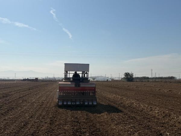 四川大学华西医院徐严明商慧芳吴波蒋利熊先泽李永彬兰志刚马骏鹏徐建国陆军军黄牛挂号电话今冬不放松,来年“丰”可期——多地冬种及田间管护见闻