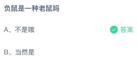 负鼠是一种老鼠吗？蚂蚁庄园课堂今天答案最新11月26日