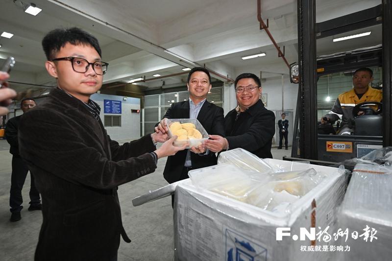 全国首票印尼冷冻榴莲抵榕 全国首票印尼冷冻榴莲抵榕