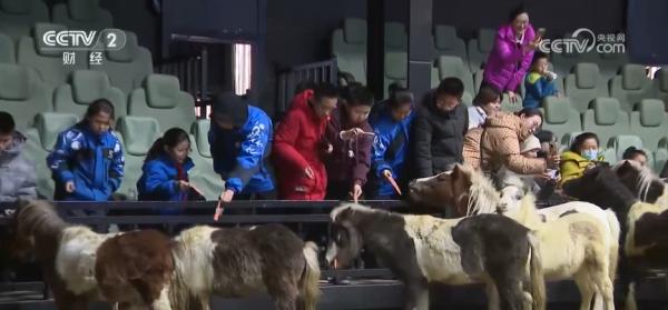 北京协和医院孙强李炎王孟昭高金明宋英娜黄牛挂号电话各地冬日文旅融合“多点开花” 消费“旺”势十足