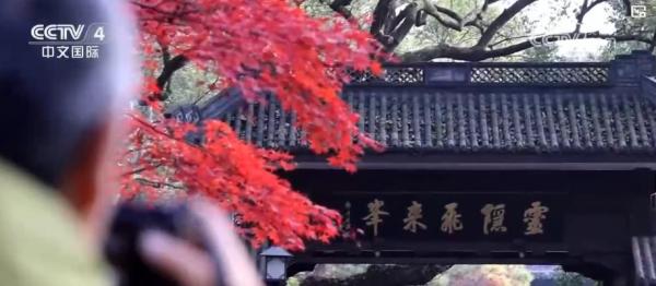 天津血液研究所黄牛号贩子票贩子代网上预约代挂号电话旅游计次票密集 “上新”!一票串联交通文旅 激活冬季消费新引擎