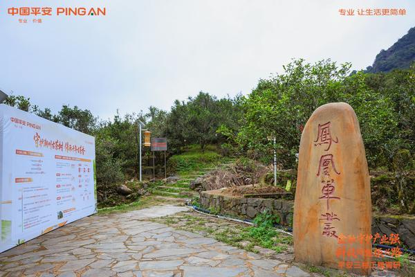 广州医科大学附属第五医院黄牛号贩子票贩子代网上预约代挂号电话服务450个百千万工程项目,中国平安四向发力支持广东乡村振兴