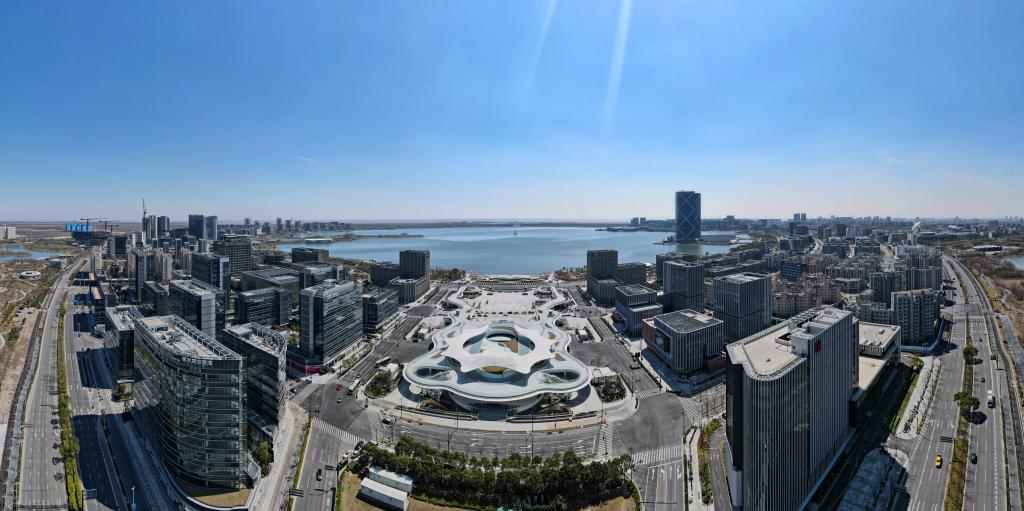 实力“圈粉”!自贸试验区育出近200项“创新果”