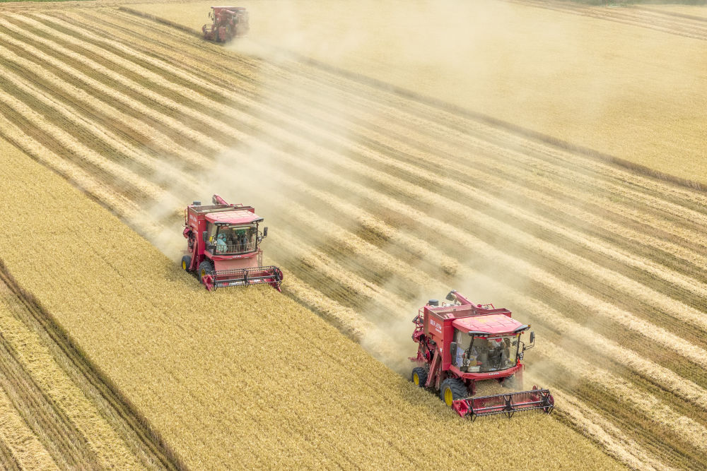 2025中国经济回眸|筑牢发展安全根基 守住风险防控底线——解码中国经济稳健前行的底气