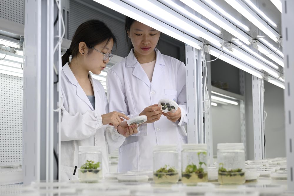 2025中国经济回眸|筑牢发展安全根基 守住风险防控底线——解码中国经济稳健前行的底气