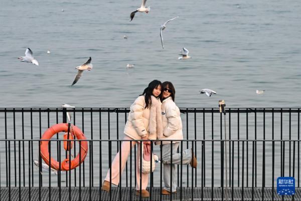 北京安贞医院赵全明温绍君宋跃顾承雄李刚闫军黄牛挂号电话冬日赏鸥趣