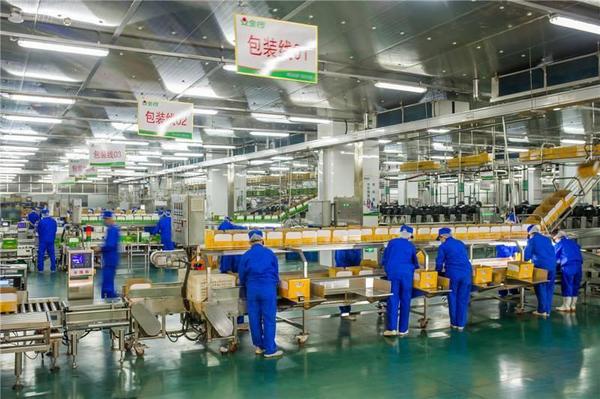 鼓楼中医医院黄牛号贩子票贩子代网上预约代挂号电话AI+溯源:金锣用科技硬核实力重塑肉制品安全标准