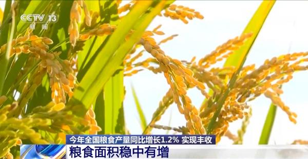 天津医科大学总医院黄牛号贩子票贩子代网上预约代挂号电话粮食产量再创新高!解锁大国粮仓的丰收“密码”