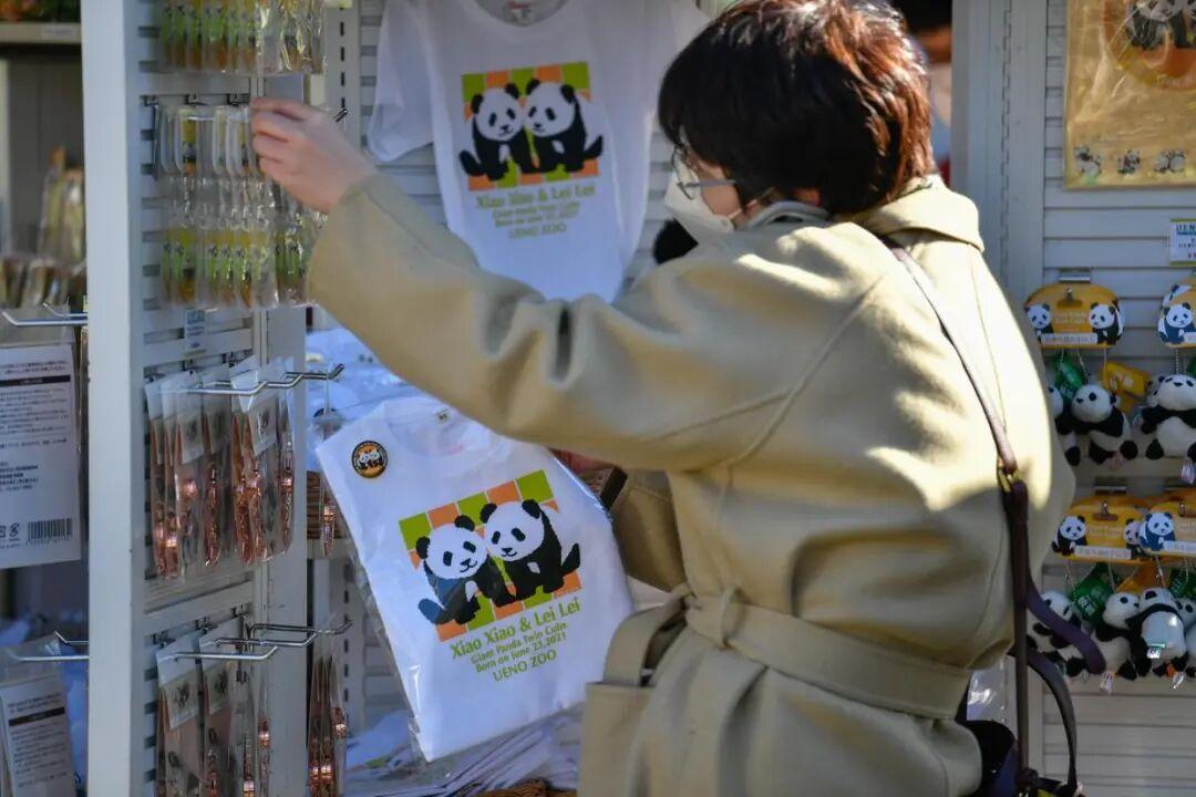 日本将送还最后两头大熊猫给中国 日本将送还最后两头大熊猫给中国