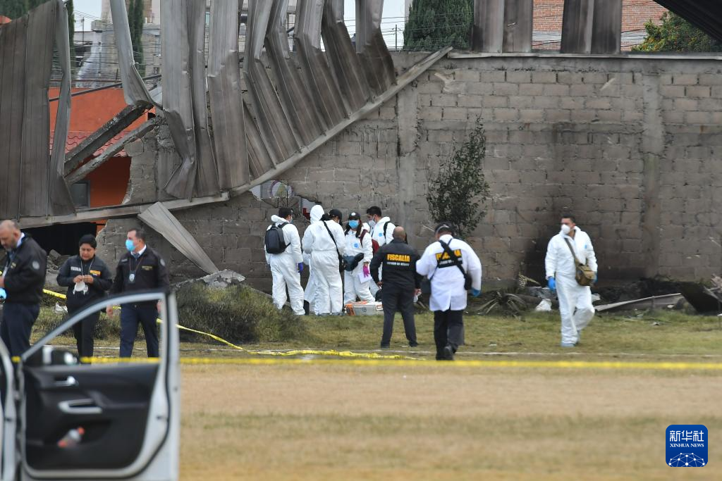 墨西哥一小飞机坠毁致7人死亡