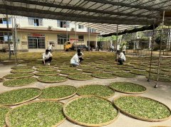 
南部战区空军医院黄牛号贩子票贩子代网上预约代挂号电话标准为桥融通两岸