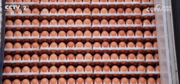 陕西省人民医院黄牛号贩子票贩子代网上预约代挂号电话节假日备货拉动下游市场消费需求 全国鸡蛋价格出现反弹