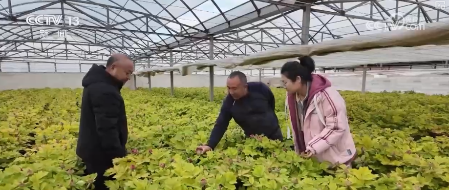 
南方医科大学中西医结合医院黄牛号贩子票贩子代网上预约代挂号电话科技加持“美丽经济” 各地年宵花卉集中上市销售火热